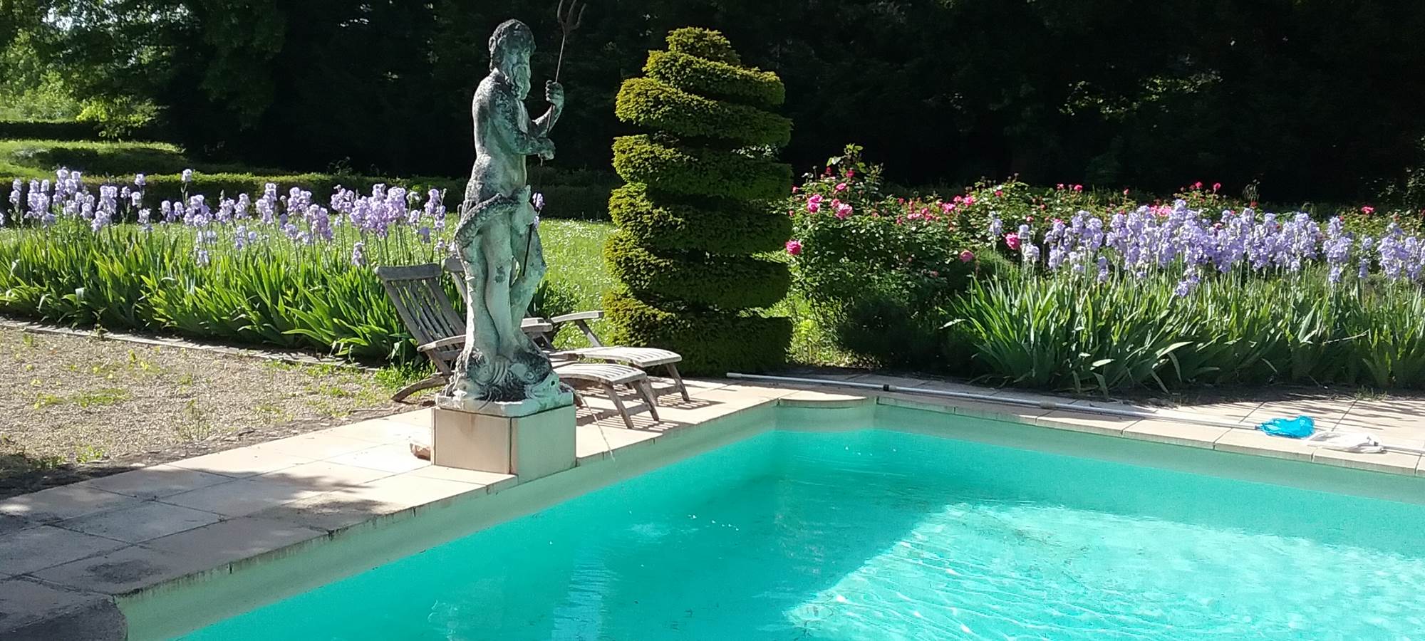 Neptunus watch ing the pool