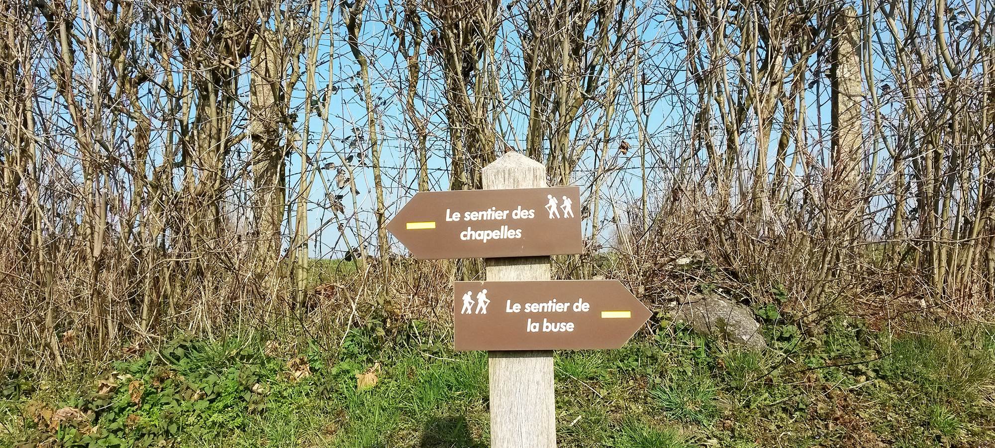 Chemins de randonnées sur place