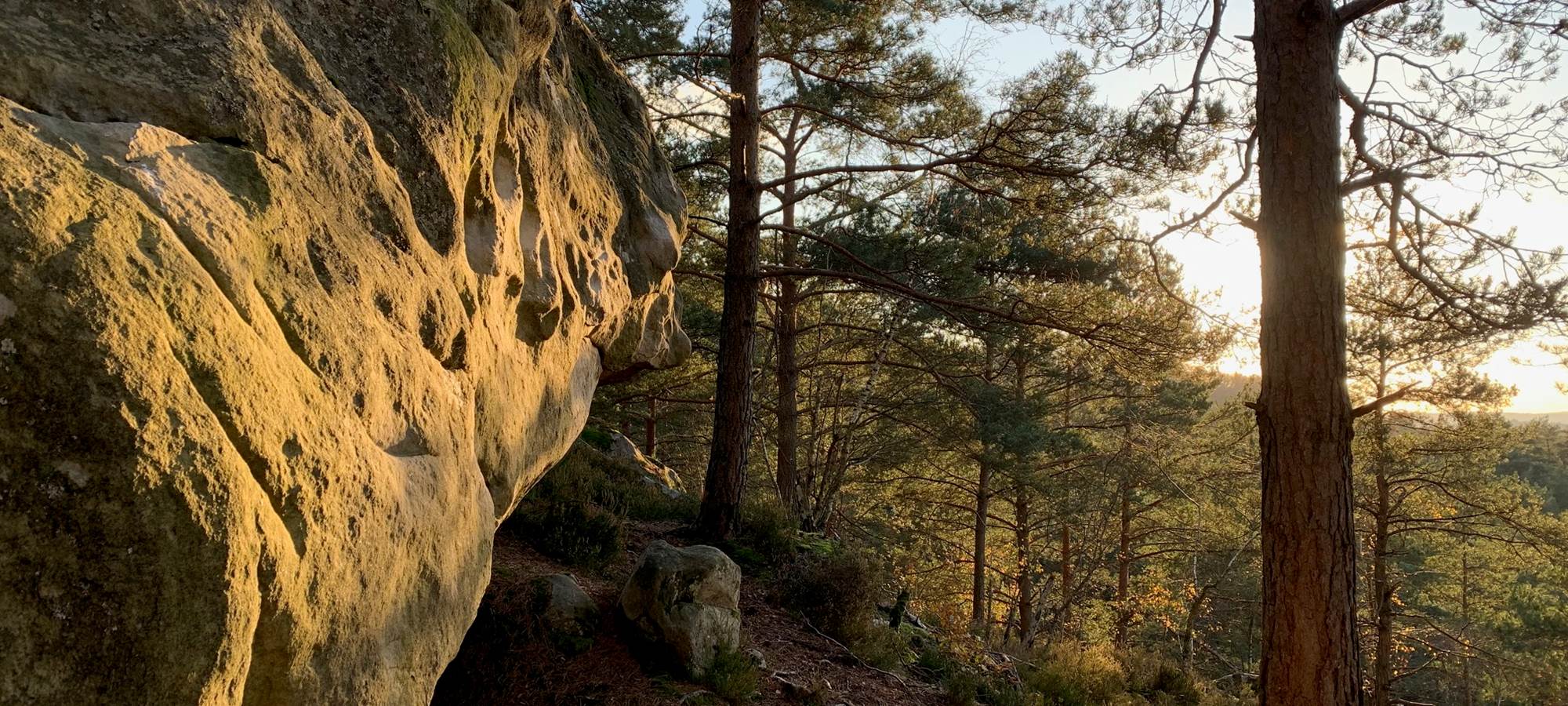 Fontainebleau boulder forest Gorge aux chats