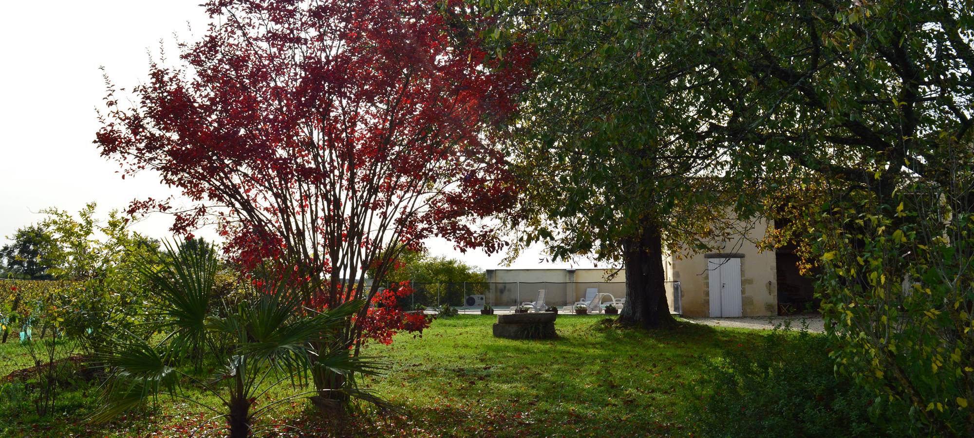 Une partie du jardin