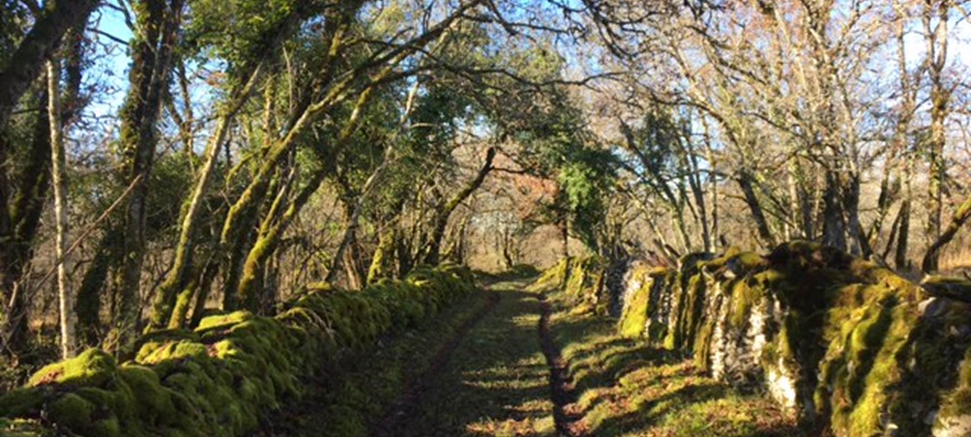 Balade bucolique au Bastit