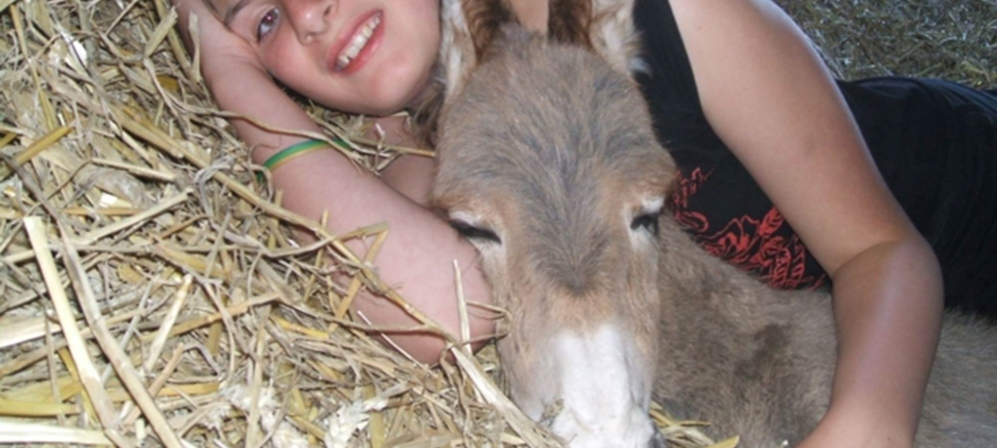 Elevage chevaux et ânes