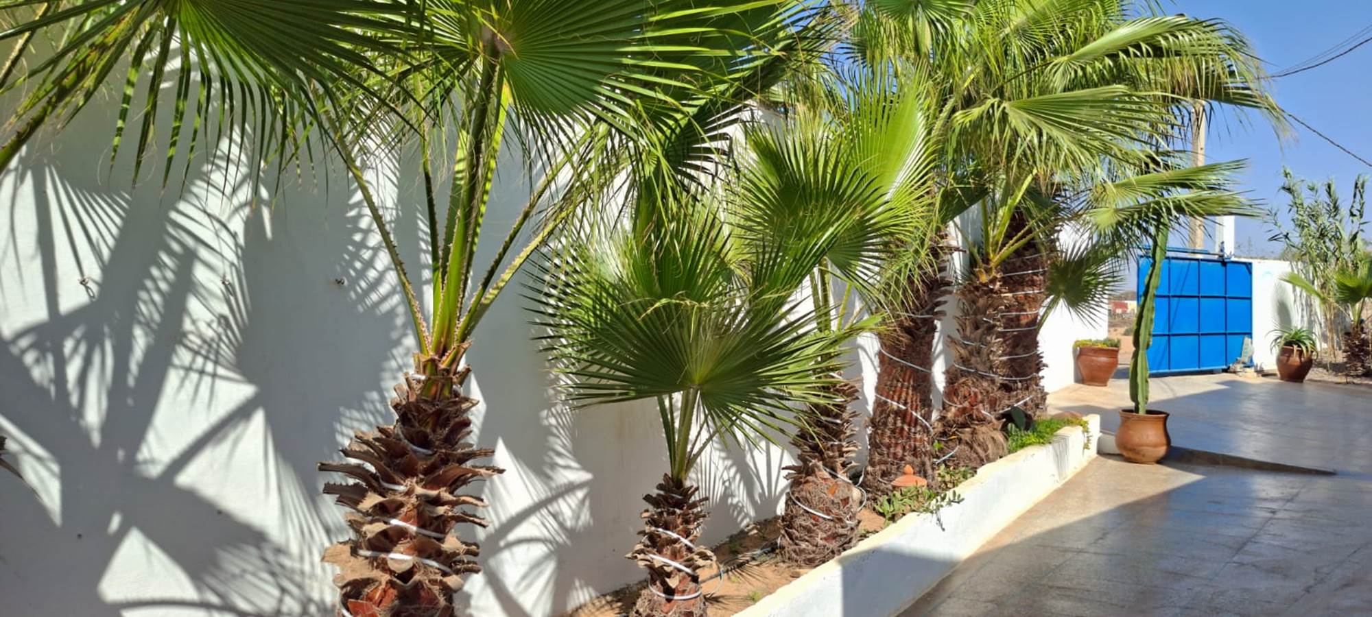 WhatsApp Image 2025-10-23 at 08.49.47