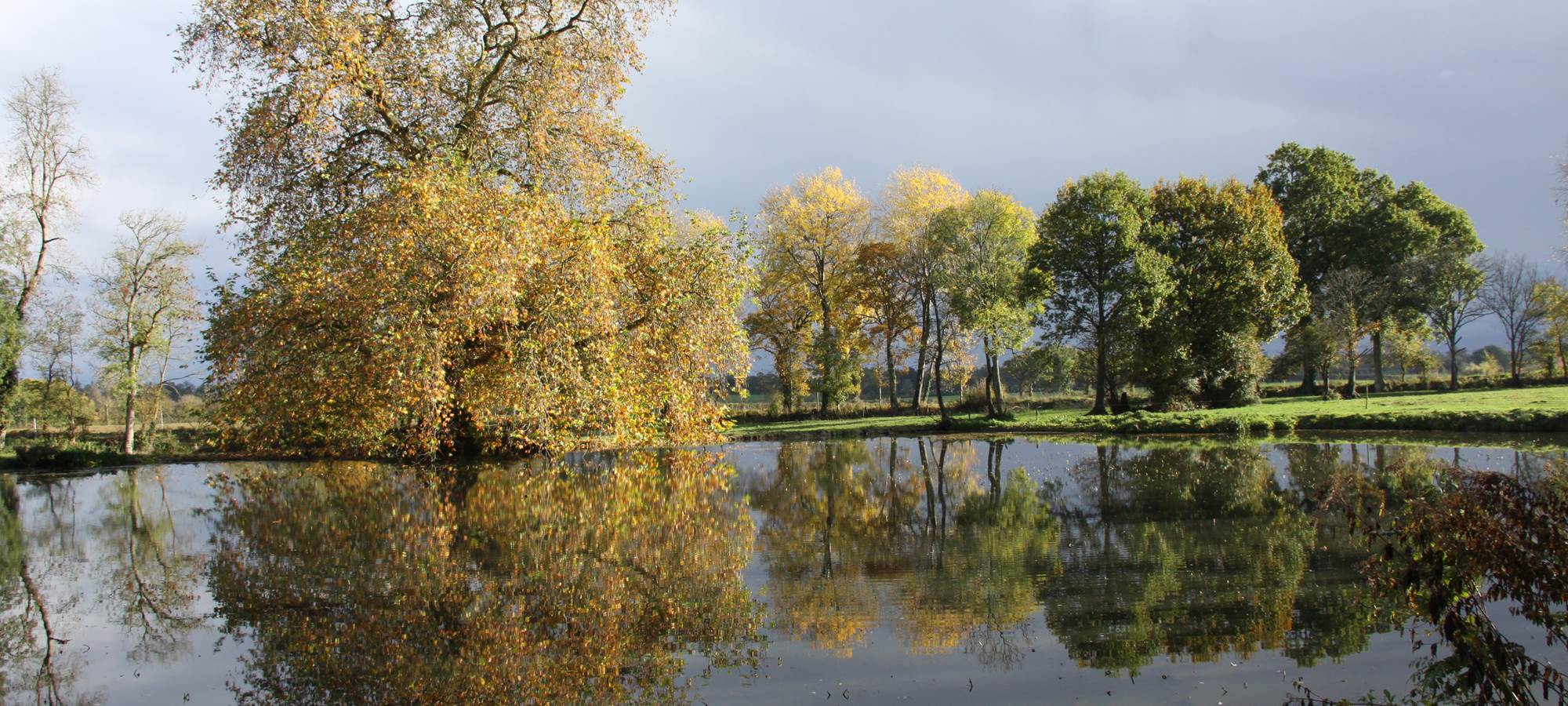 ETE INDIEN  sur l'étang  avec son platane de 1790