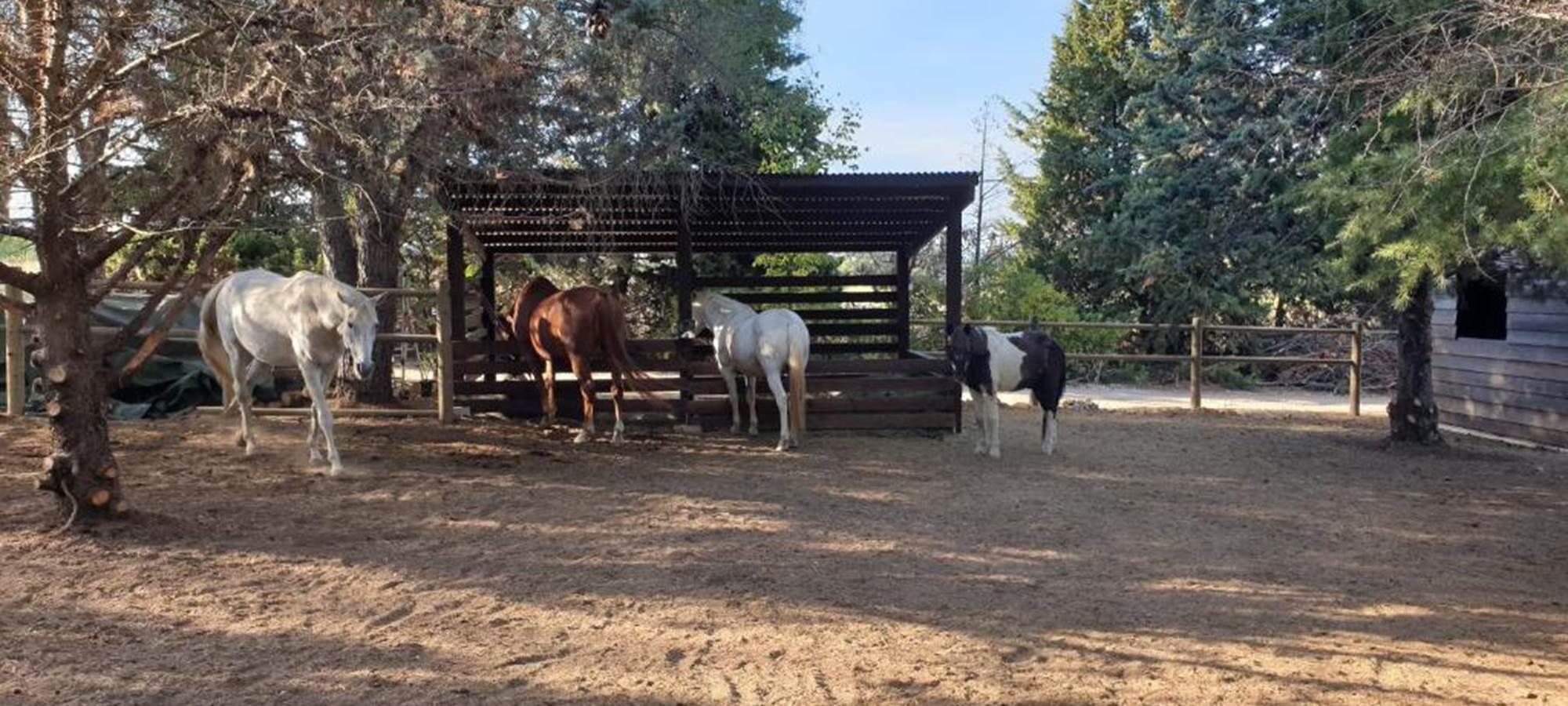 LES CHAMBRES DE MON P'TIT MAS - entre Béziers et Bessan - location de chambres d'hôtes dans une propriété rurale - nature - domaine équestre