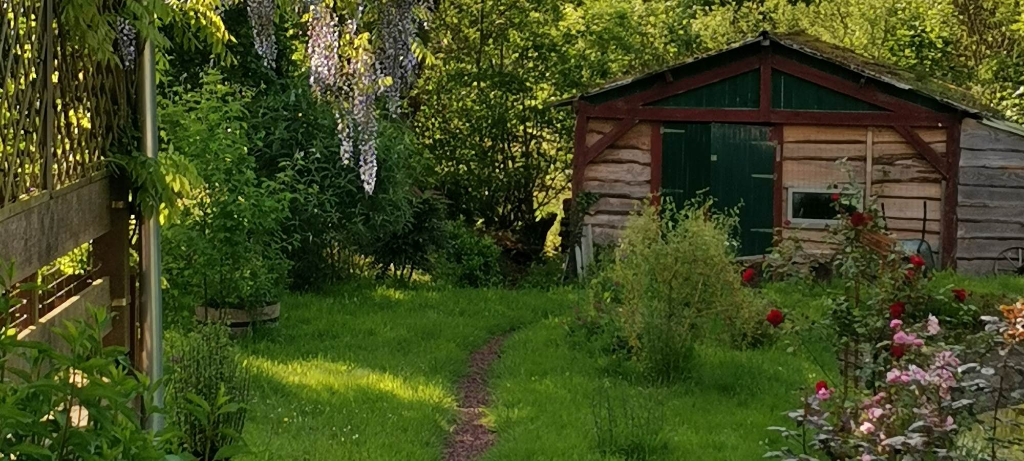 IMG_20230517_191648[1]