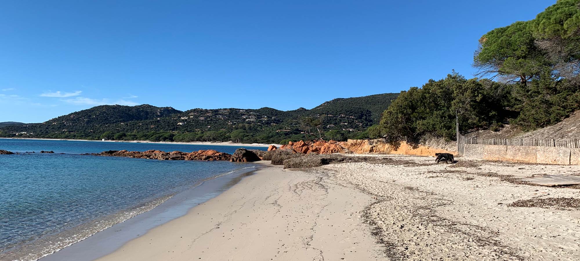 Palombaggia "mytique"