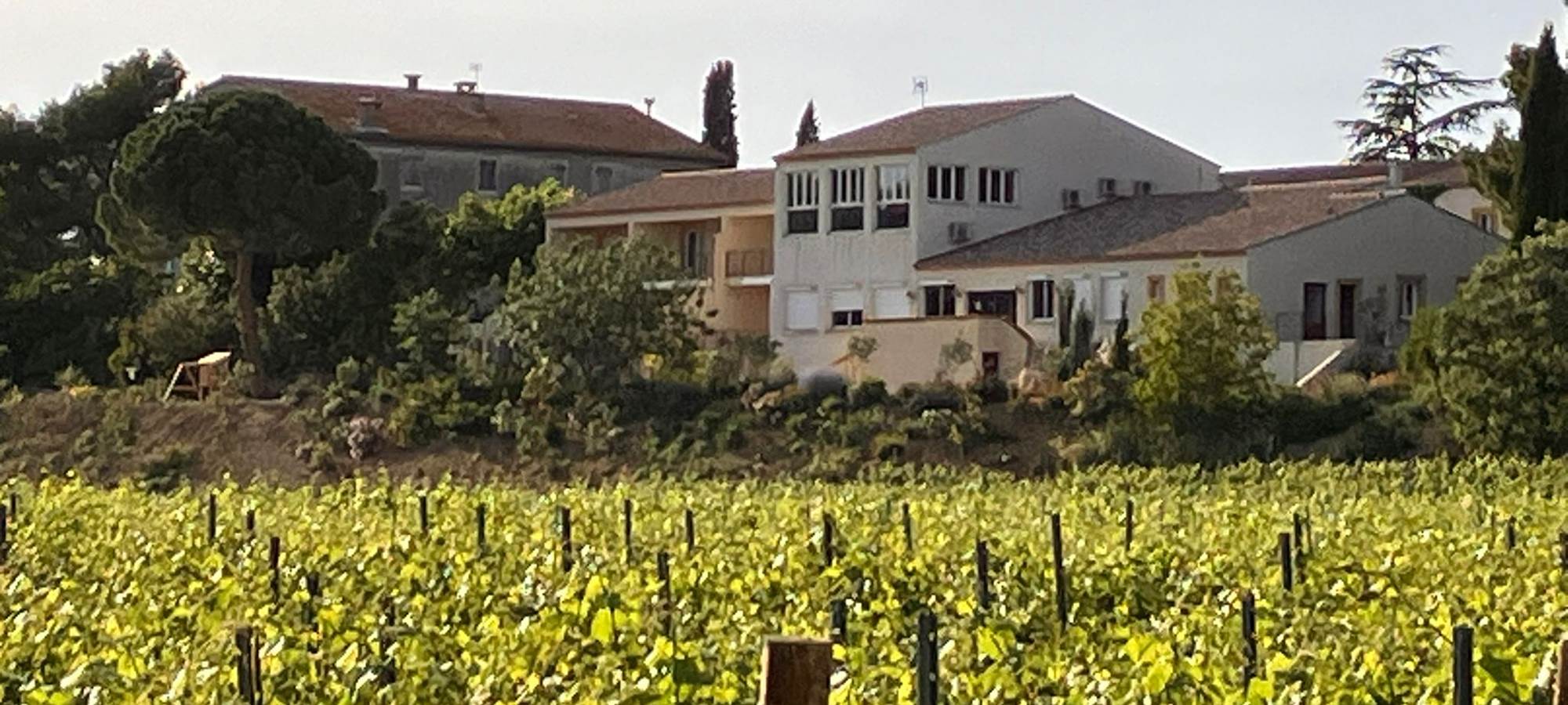 domaine 2025.jpg