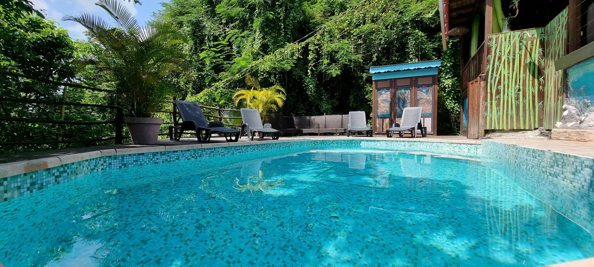 vue piscine avec cabin à toilette et douche