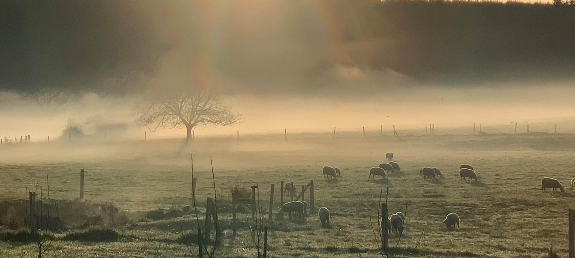 Les terres de la chouette, lever de soleil sur le domaine