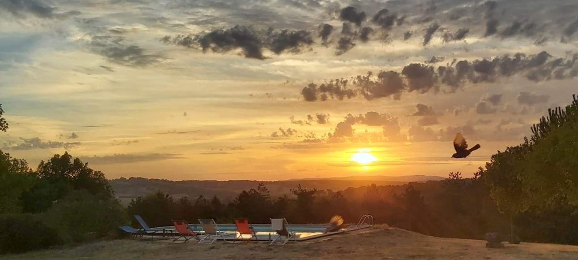 Un réveil avec les oiseaux