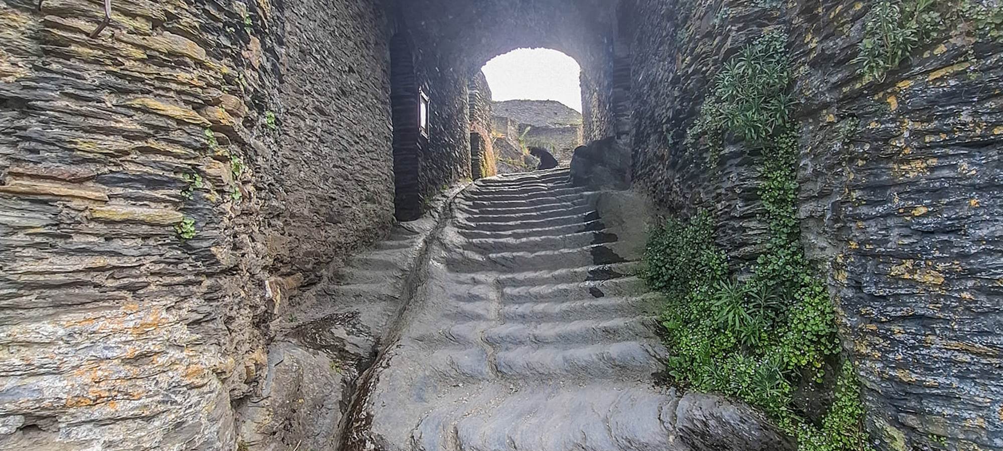 487774981_3493109624329938_7512736755451793536_n