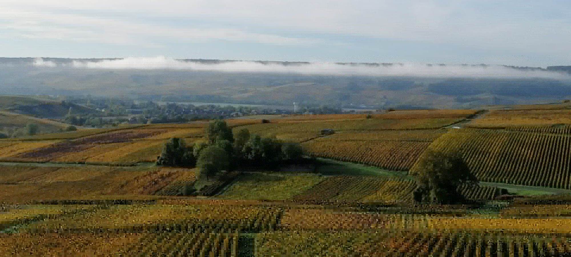 Vue automnale au champagne ARNOULT