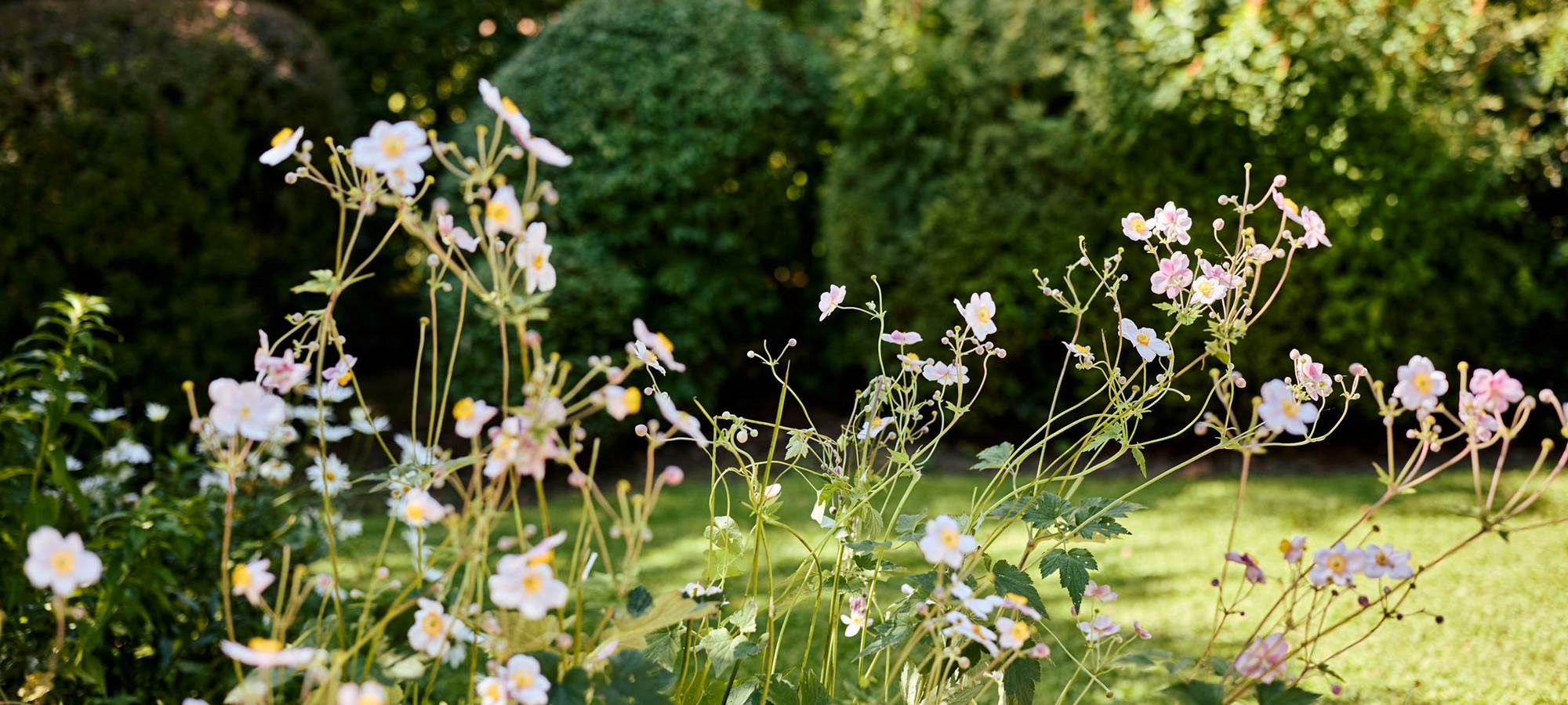 2025_08_07Gi^teMireille140