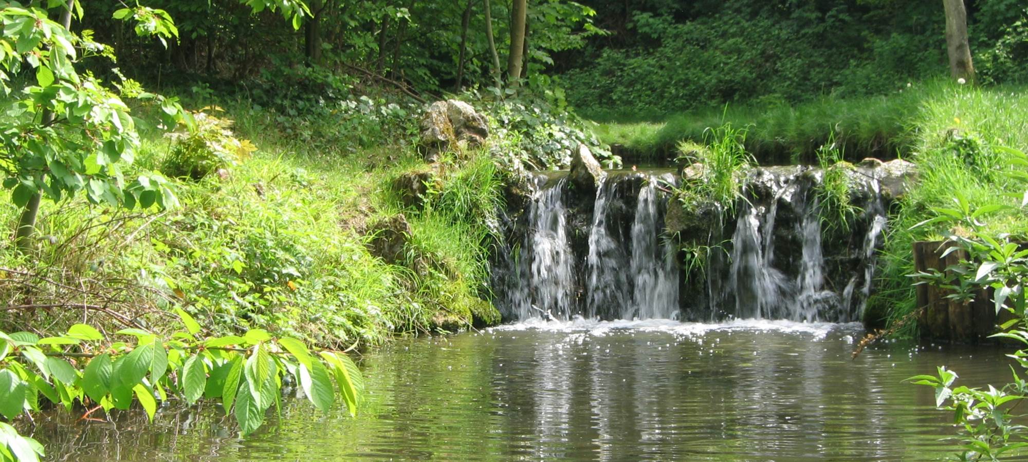 Bois_de_Vincennes_printemps_2009_-_005