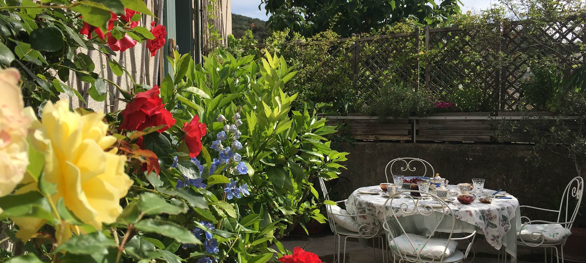petit-déjeuner sur la terrasse