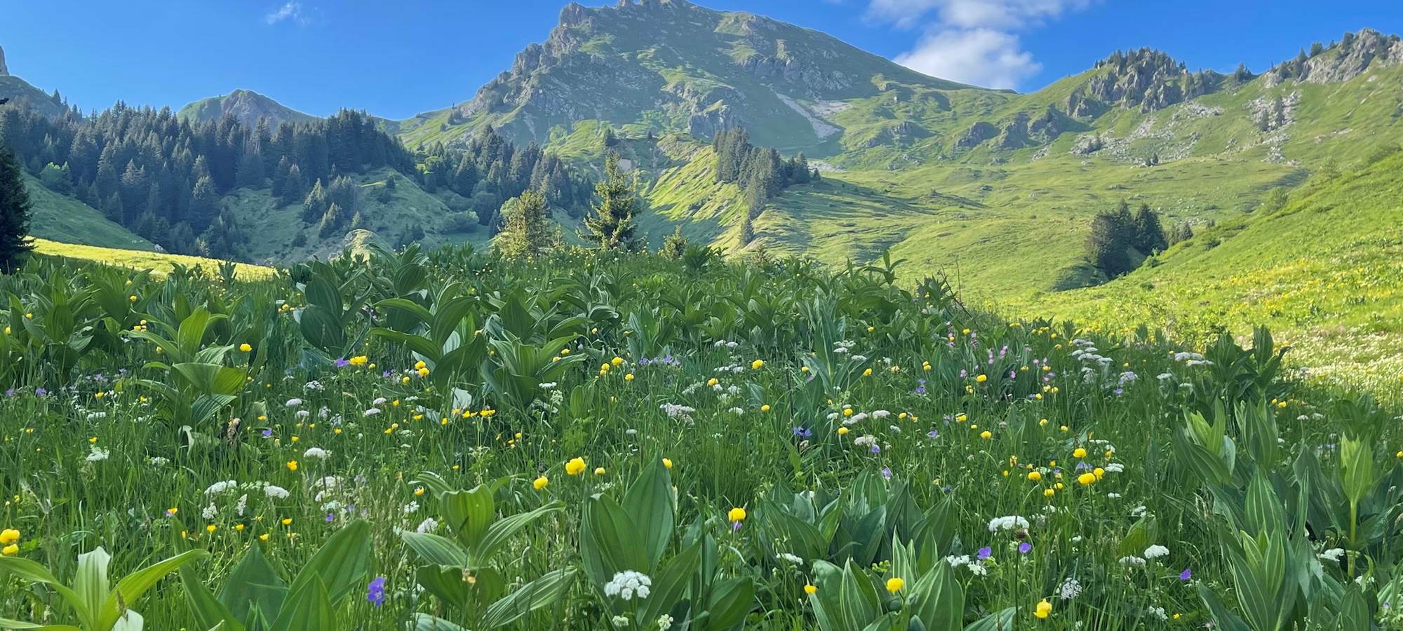 Randonnée douce au dessus de la cascade des Munes avec vue sur la pointe de Chalune au printemps.