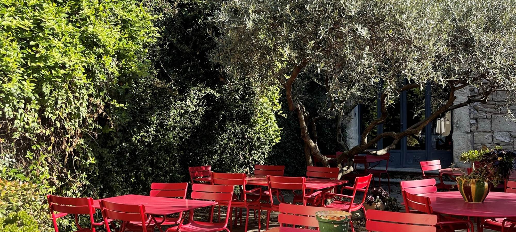 23CEA850-B775-4710-A5C5-528555E23C02