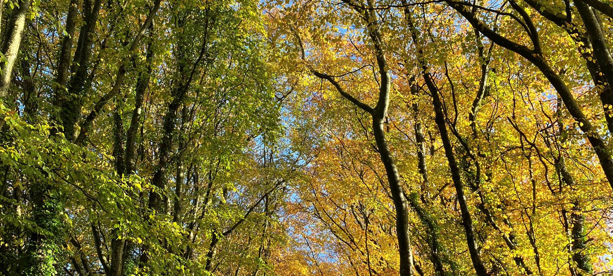 aufildeleau-cotentin-bnb-chambre-hote-val-de-saire