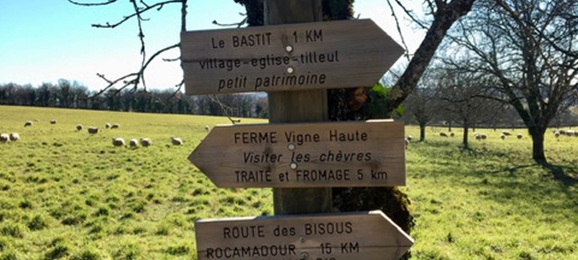 Quelques-unes des balades à proximité