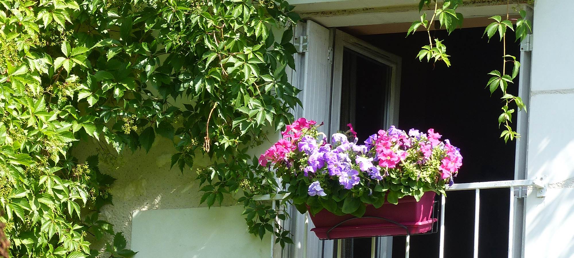 Balcon fleuri