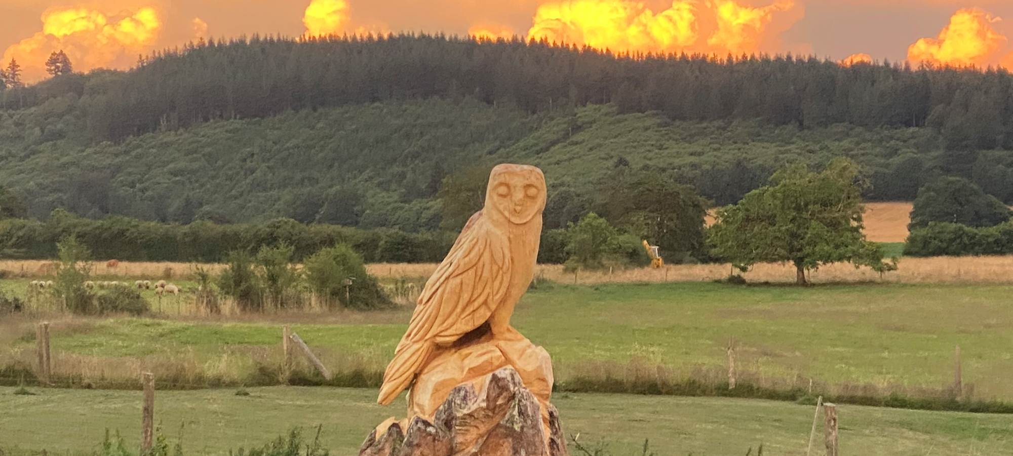 Les terres de la chouette, émerveillement devant la créativité de la nature