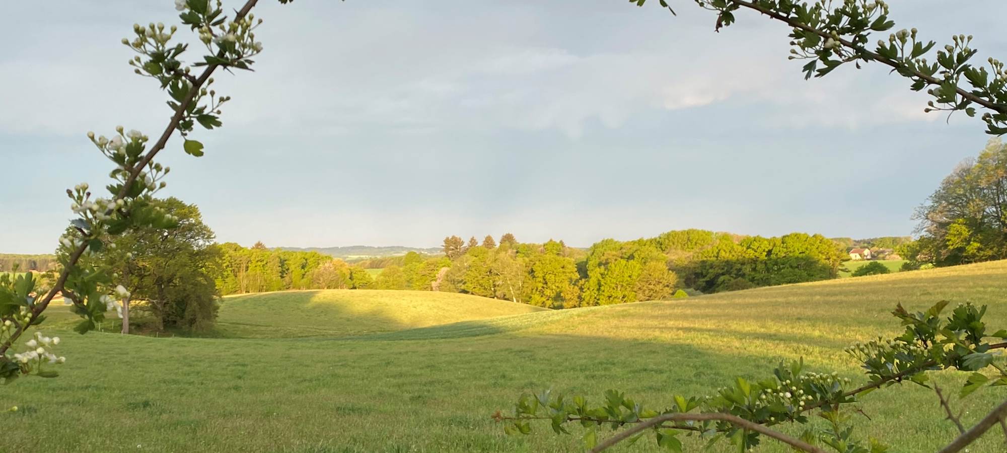 Les terres de la chouette, le charme des paysages du Limousin