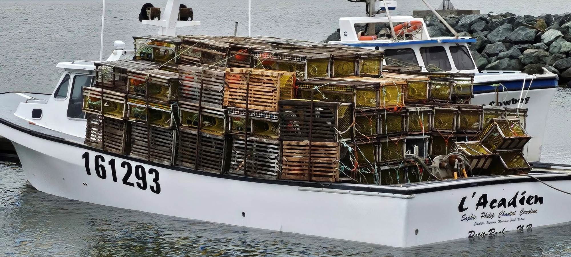 Pêche Homard Motel & Chalets l'Acadien vue sur mer 