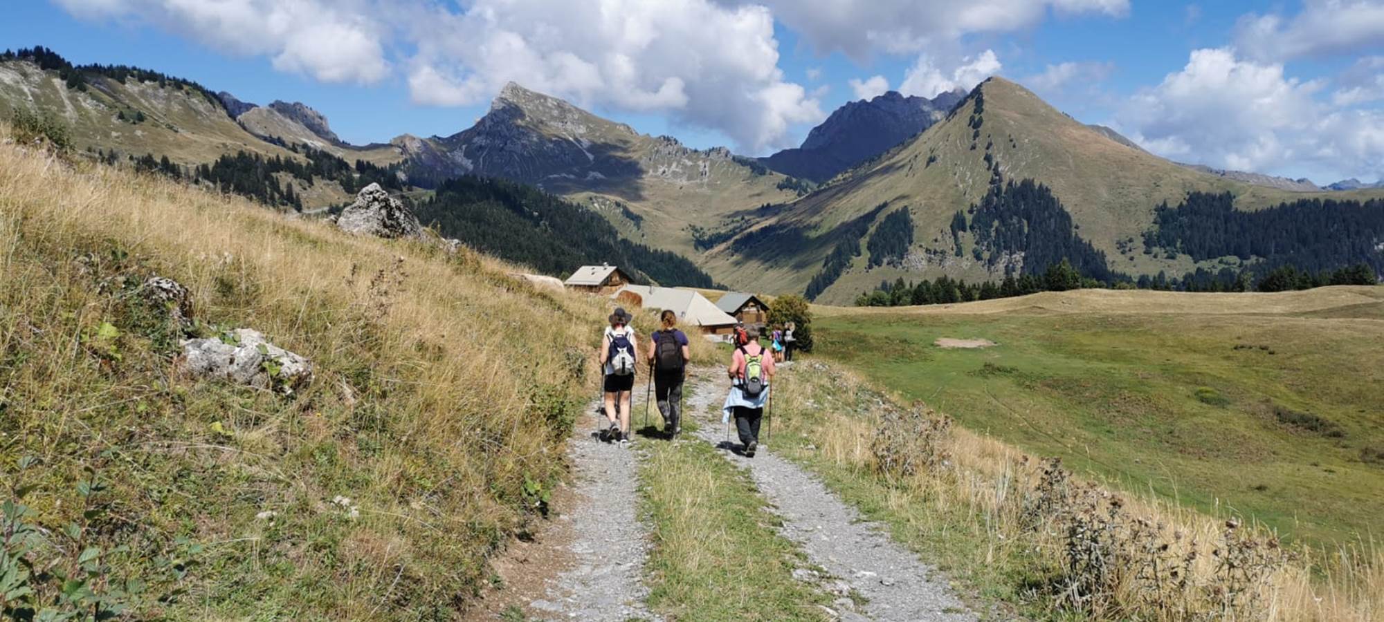 6 belles randonnées douces en montagne sont au programme de votre stage, bain de forêts, bain de nature.