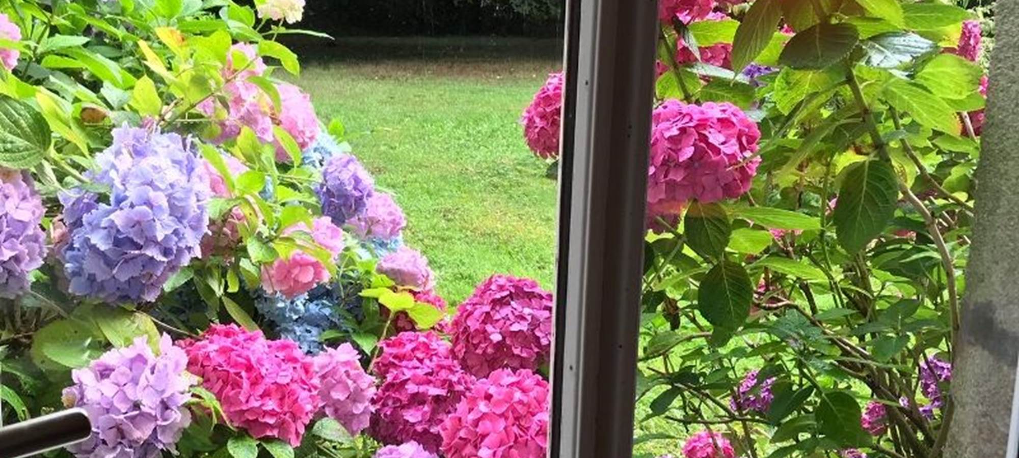 B97215CA-6FEE-4339-996A-6F9D9DDD499F