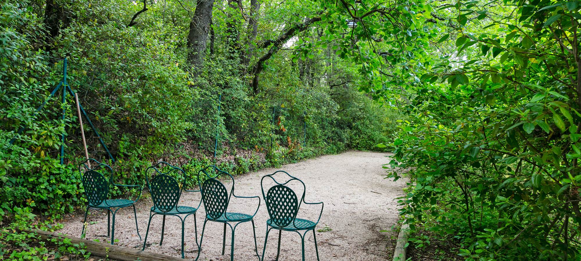 Boulodrome sous les chênes
