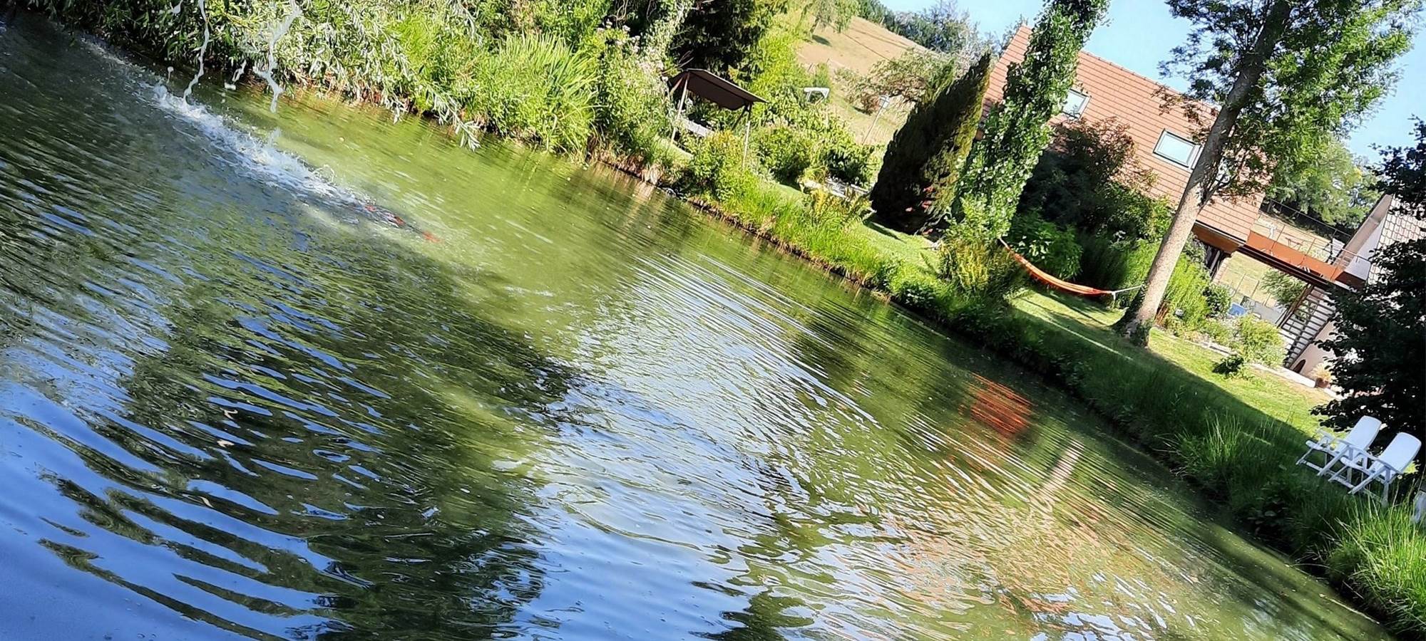 vu du bassin