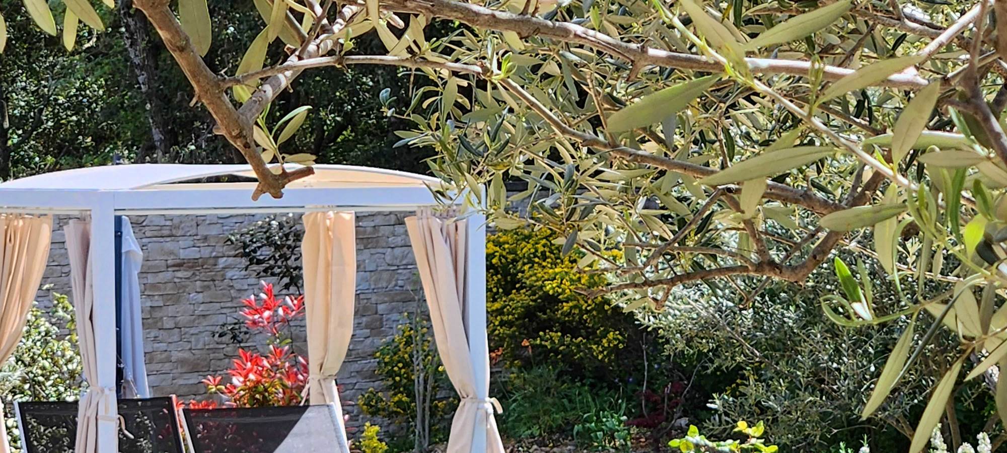 24 lit balinais et oliviers