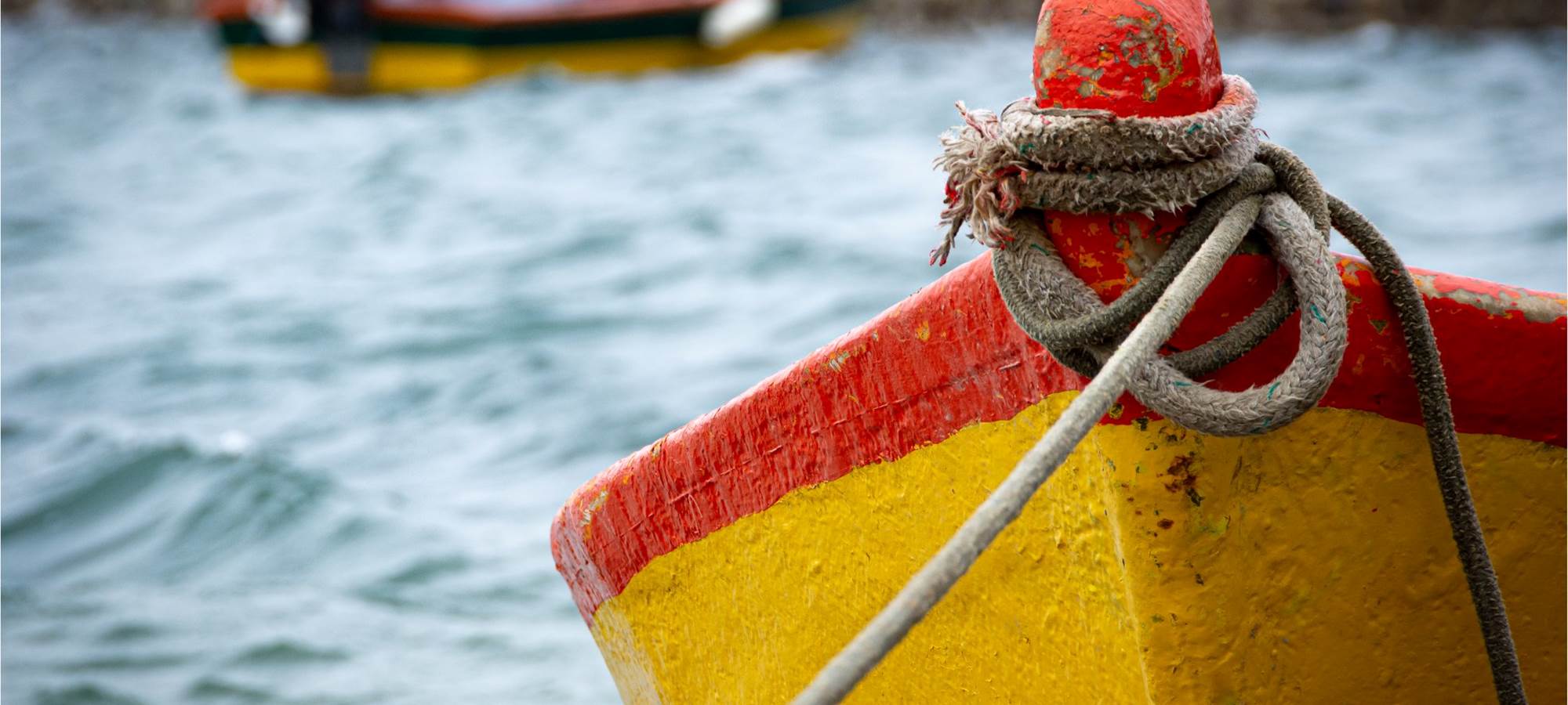 Les bateaux du Golfe