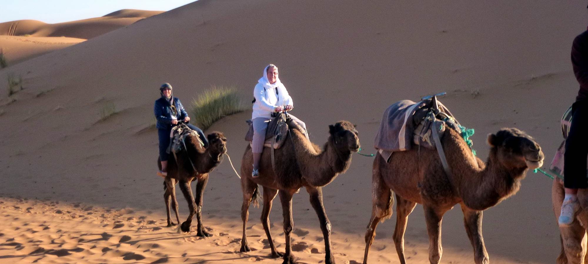 Randonnée chamelière 2