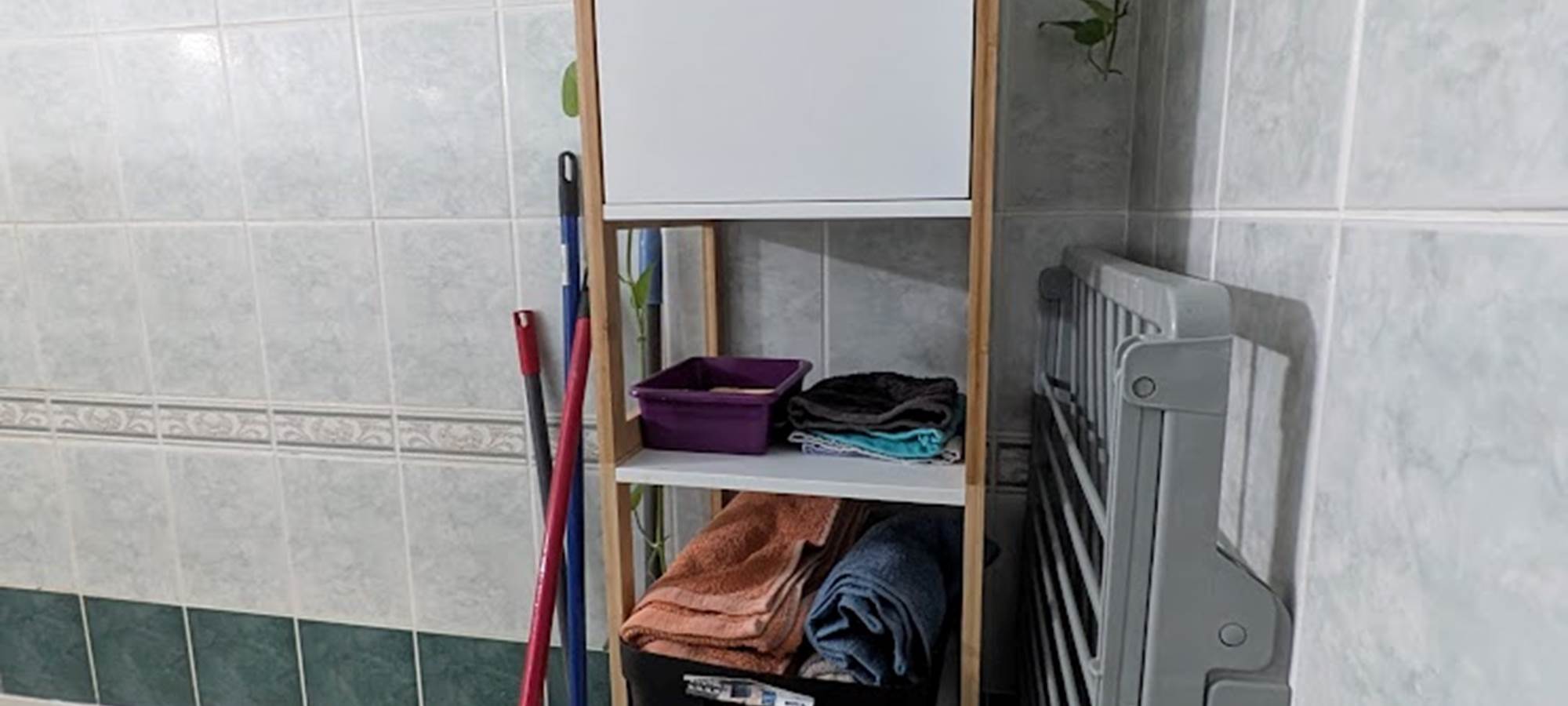 T2 Frangipanier , meuble et plante salle de bain