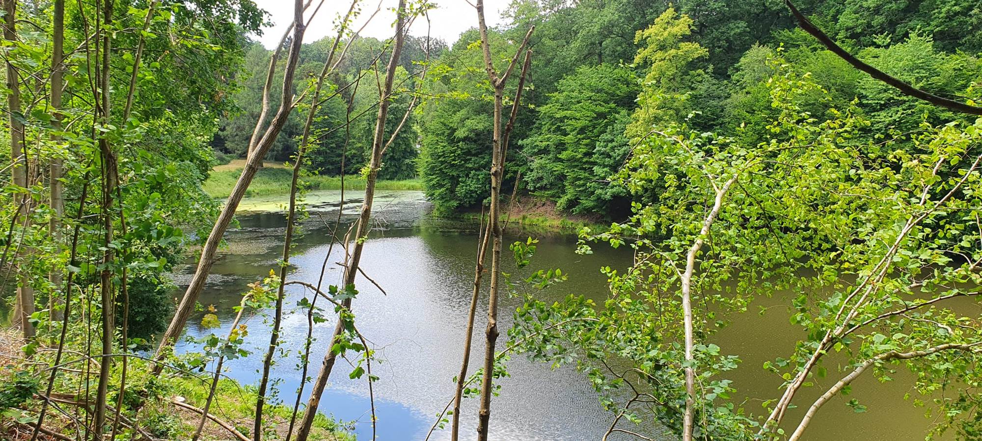 fonds des Chênes Wepion
