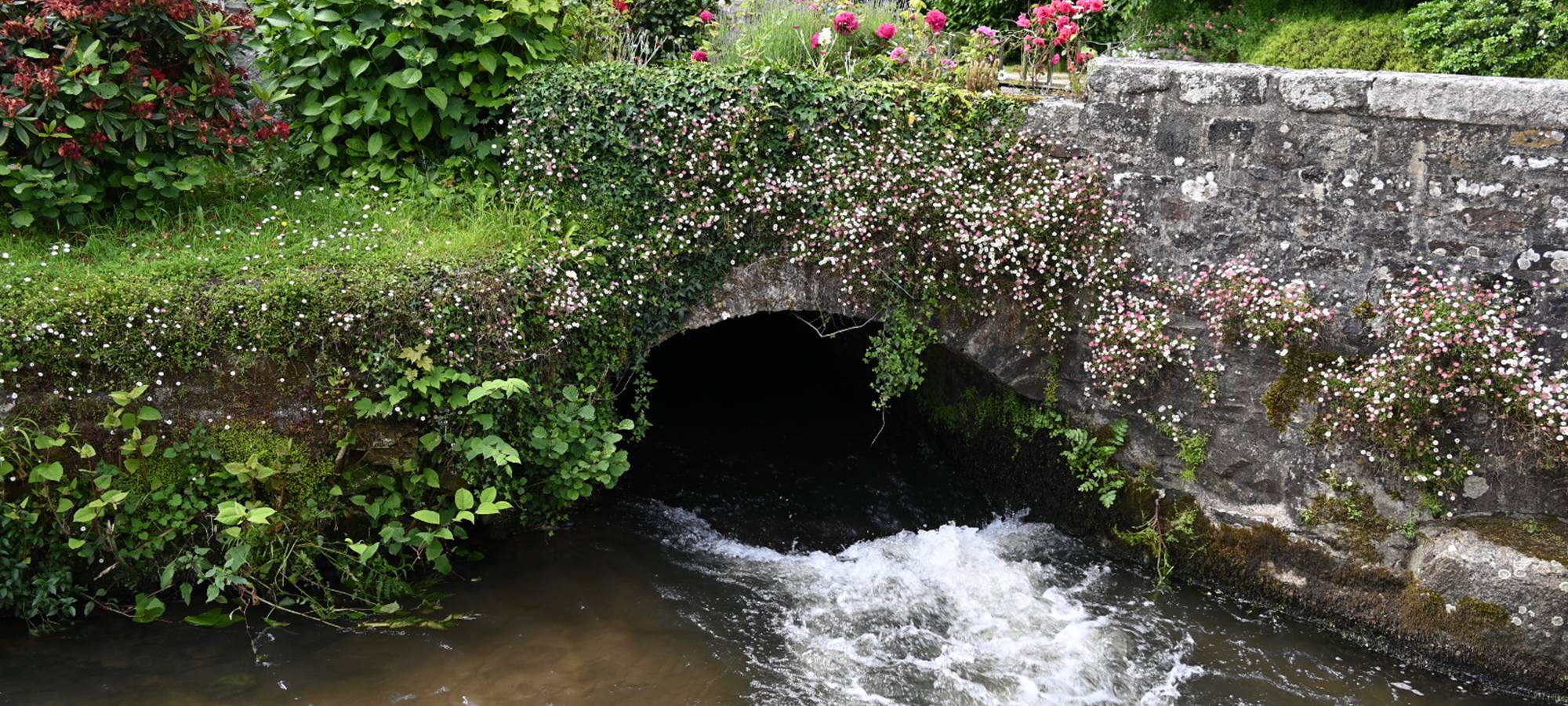 aufildeleau-cotentin-bnb-chambre-hote-le Vast