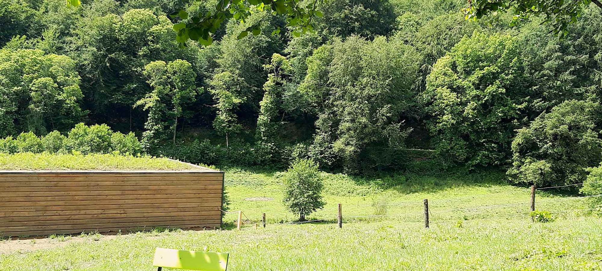 Hameau Les 3 châtaignes coin ombrage´