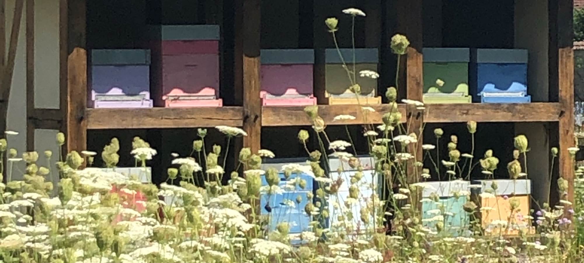 RUCHER DANS LES VERGERS-POTAGERS