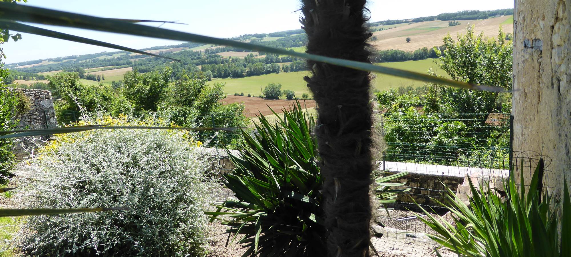 Saint Roch chambres d'hôtes fond du jardin vers vallée.jpg