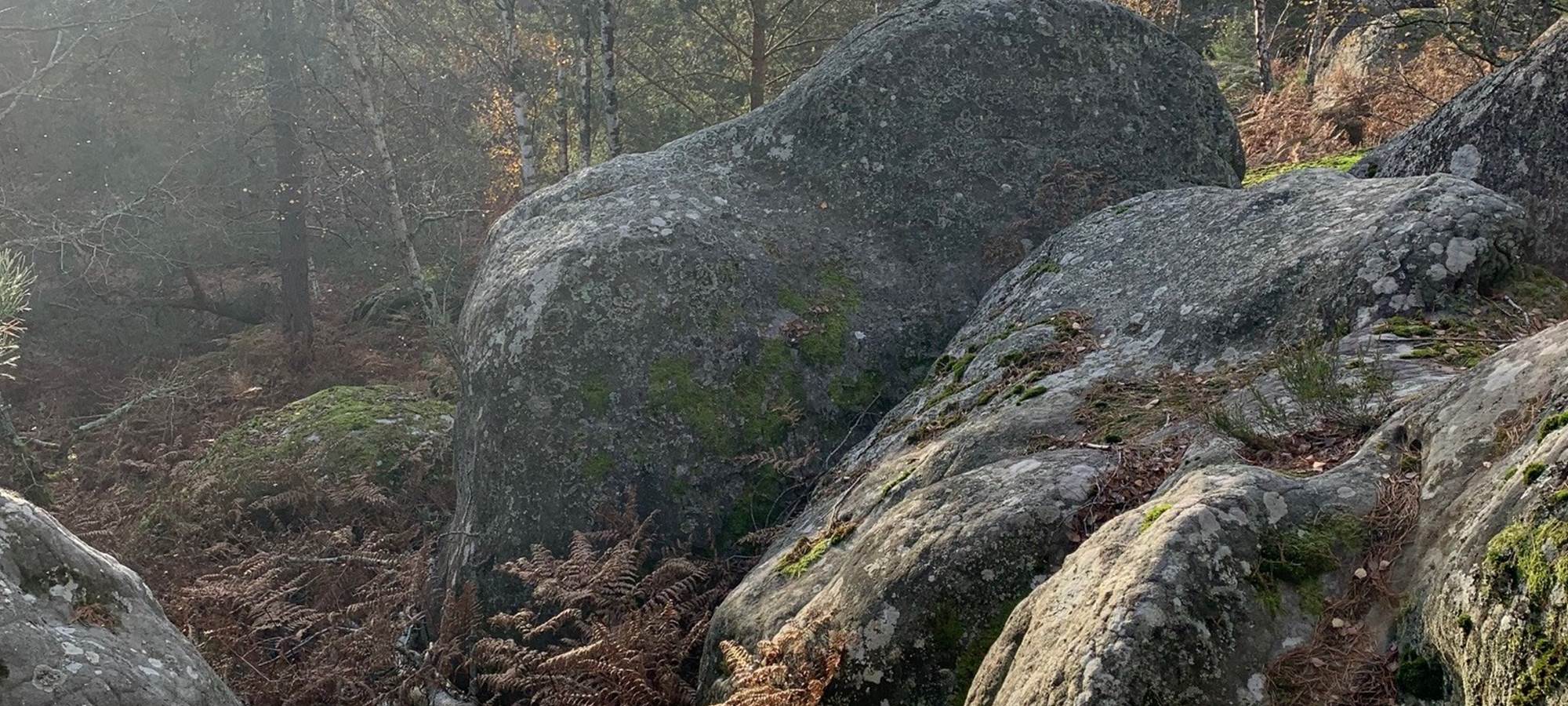 Fontainebleau boulders Apremont