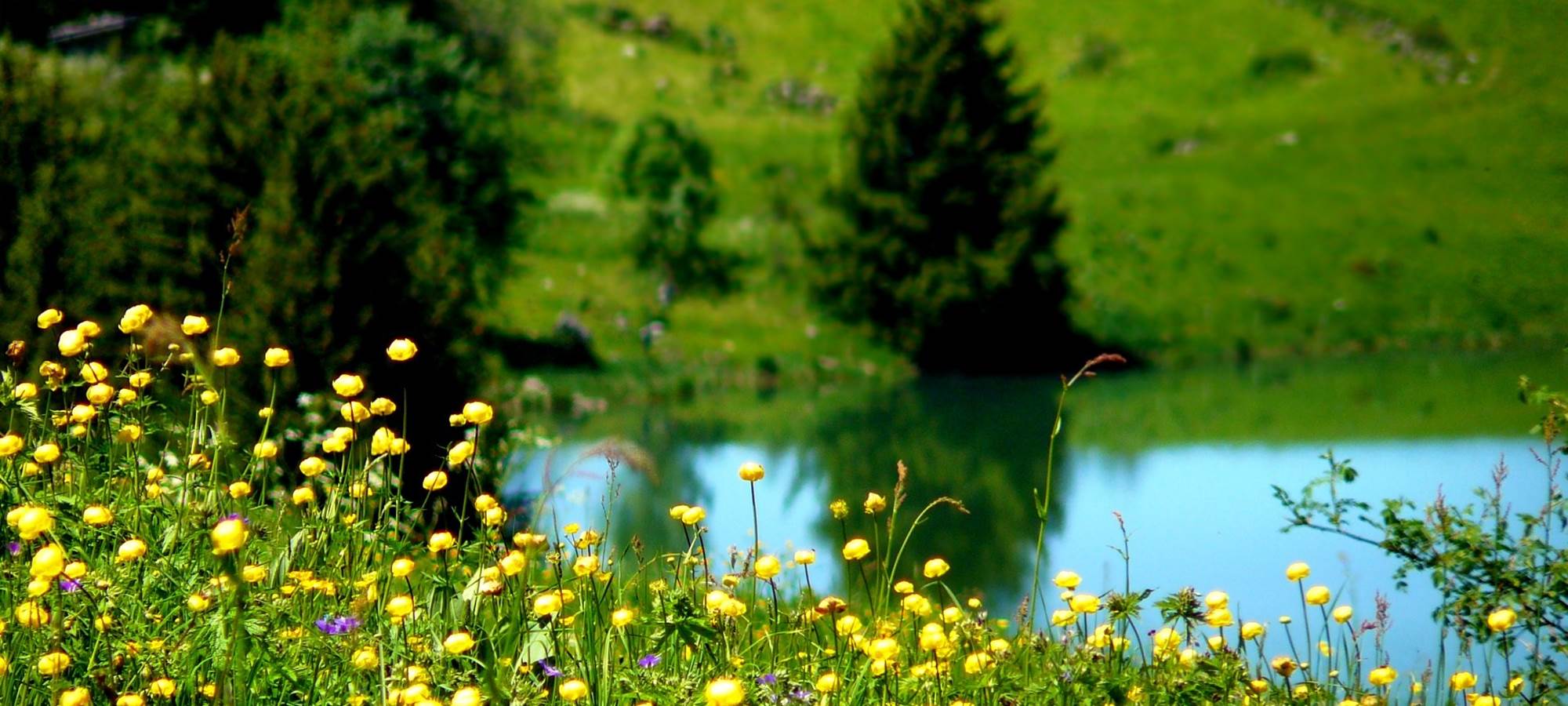 printemps-en-montagne.75288