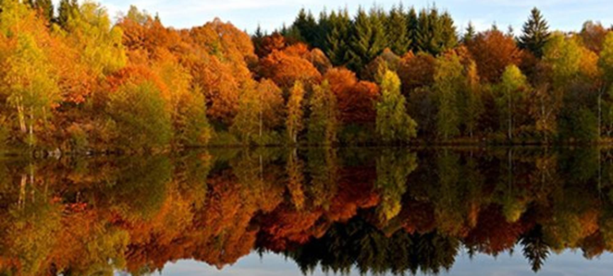 automne