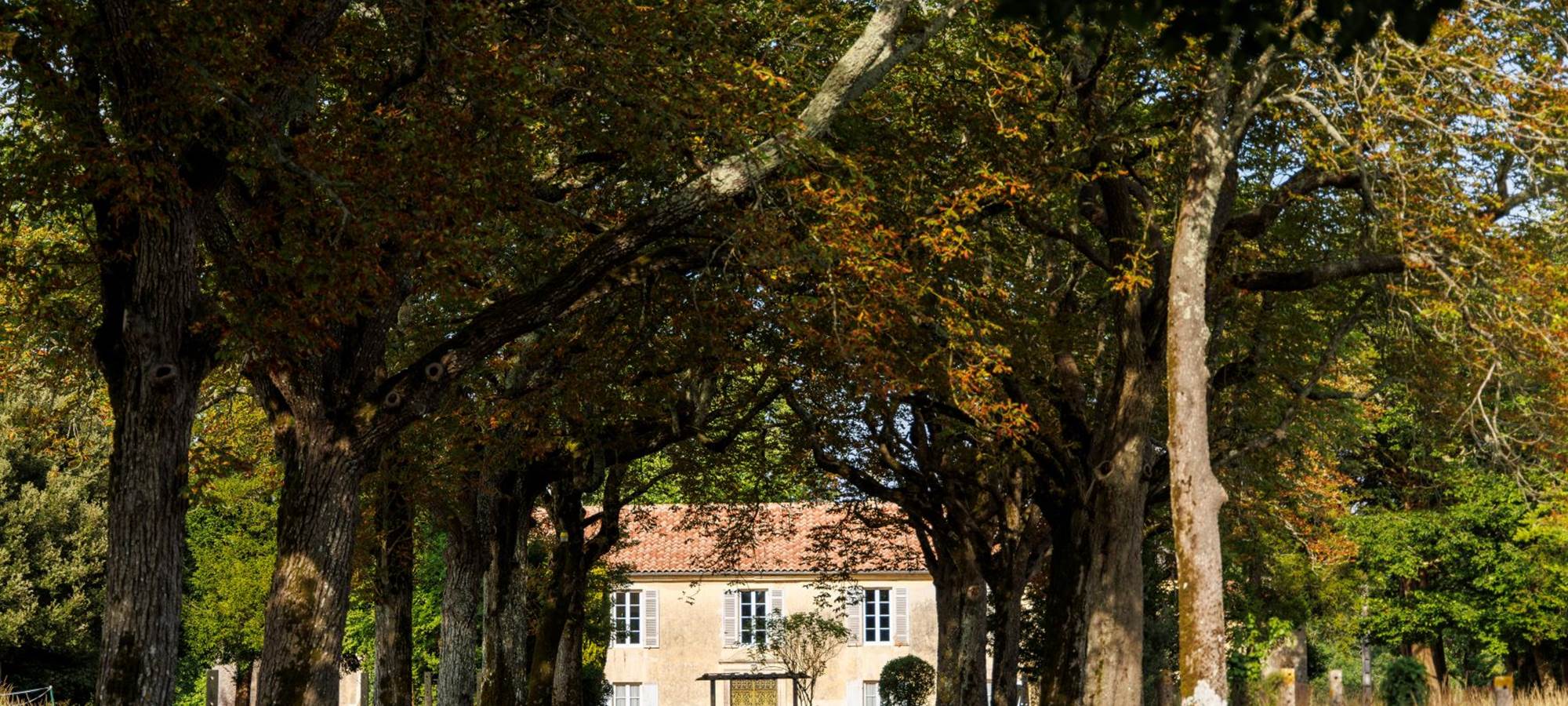 L'arrivée au Domaine