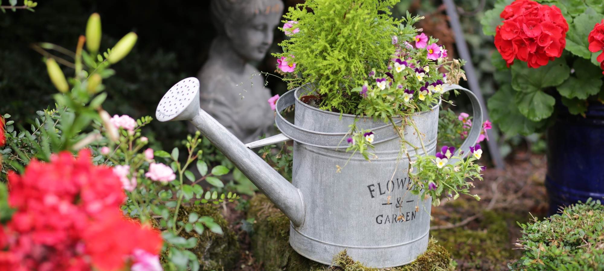 Le Jardin - La Rose Trémière