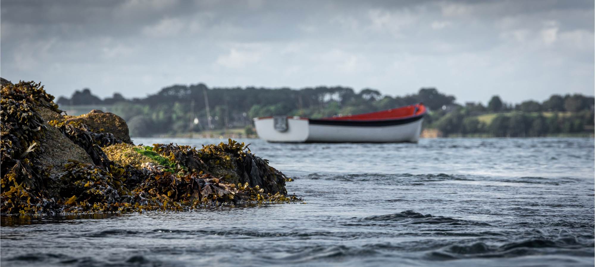 Berder une île autrement