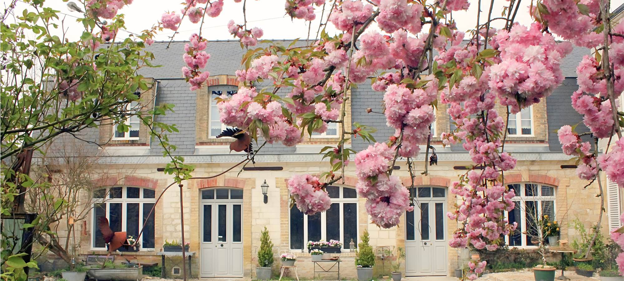 Design sans titre-39