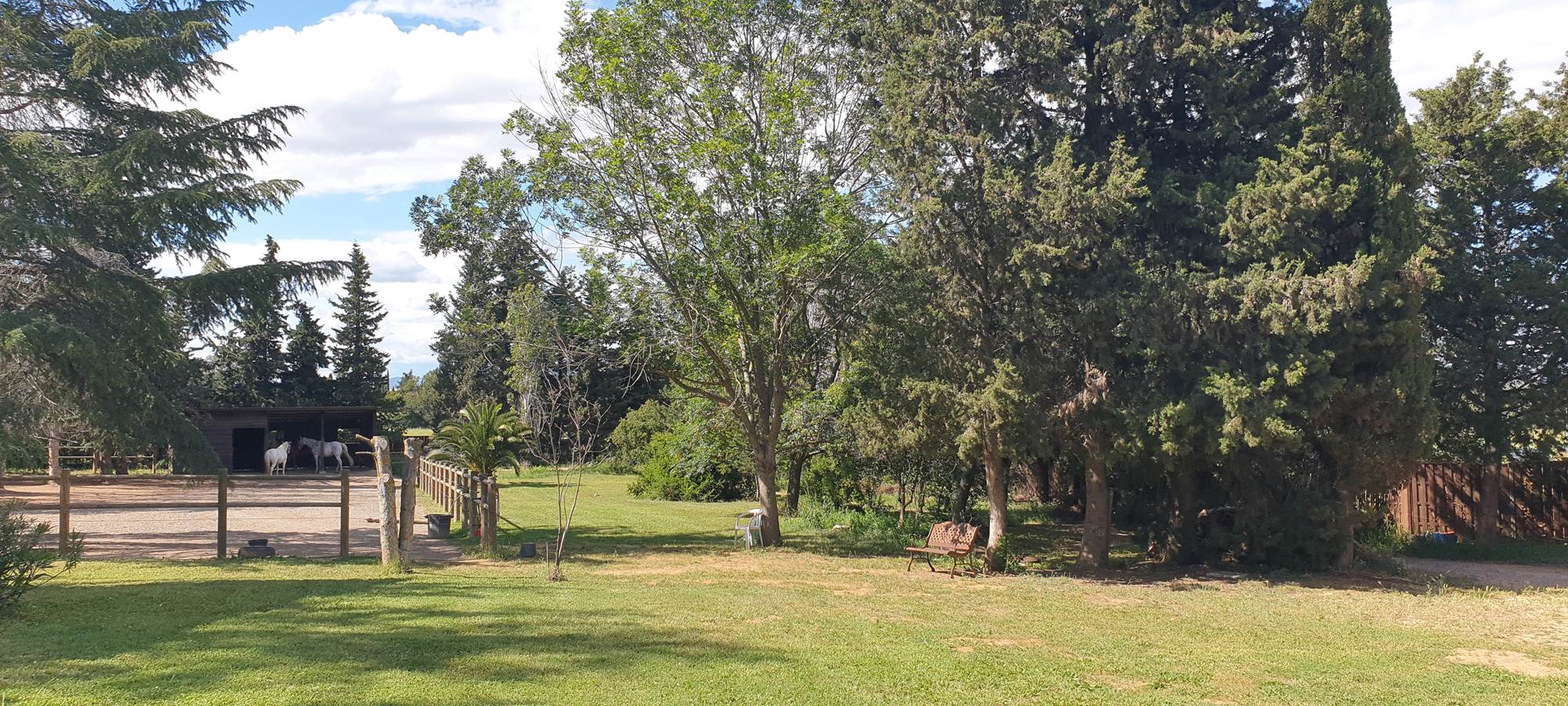 LES CHAMBRES DE MON P'TIT MAS - chambres d'hôtes  - propriété rurale - Jardin