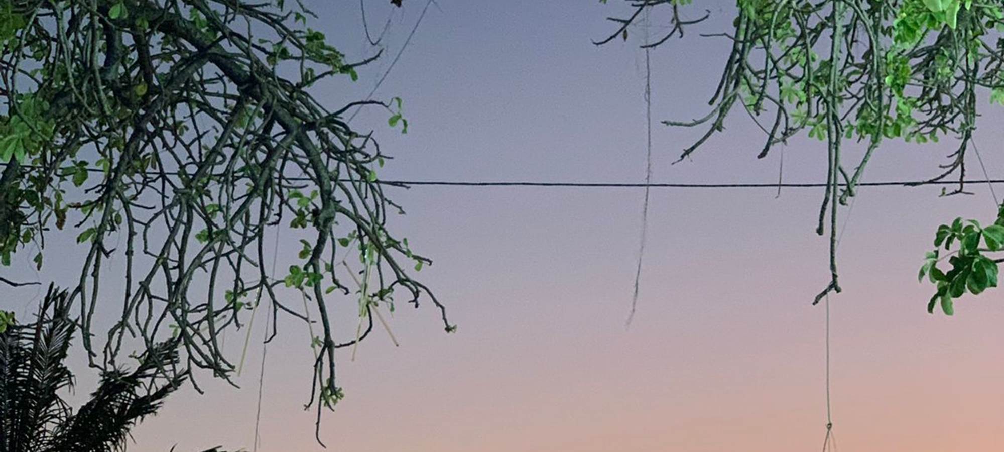 Coucher de soleil - Bord de Majunga